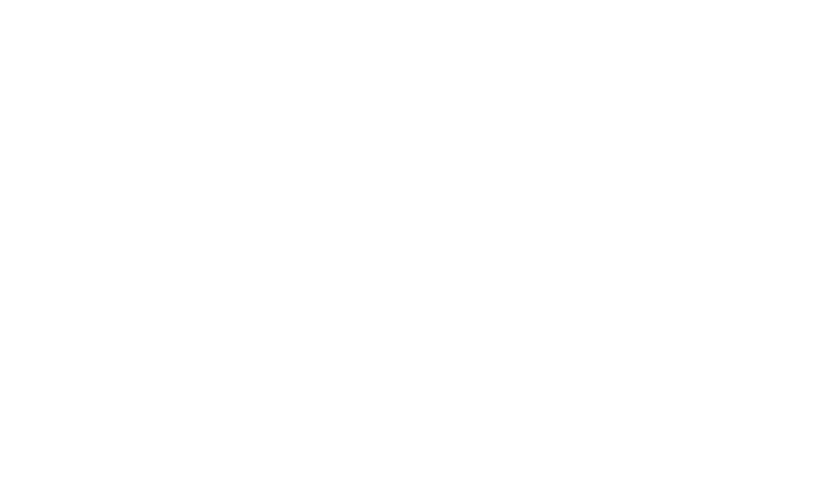 julie-snyder-team-howard-hanna-logo