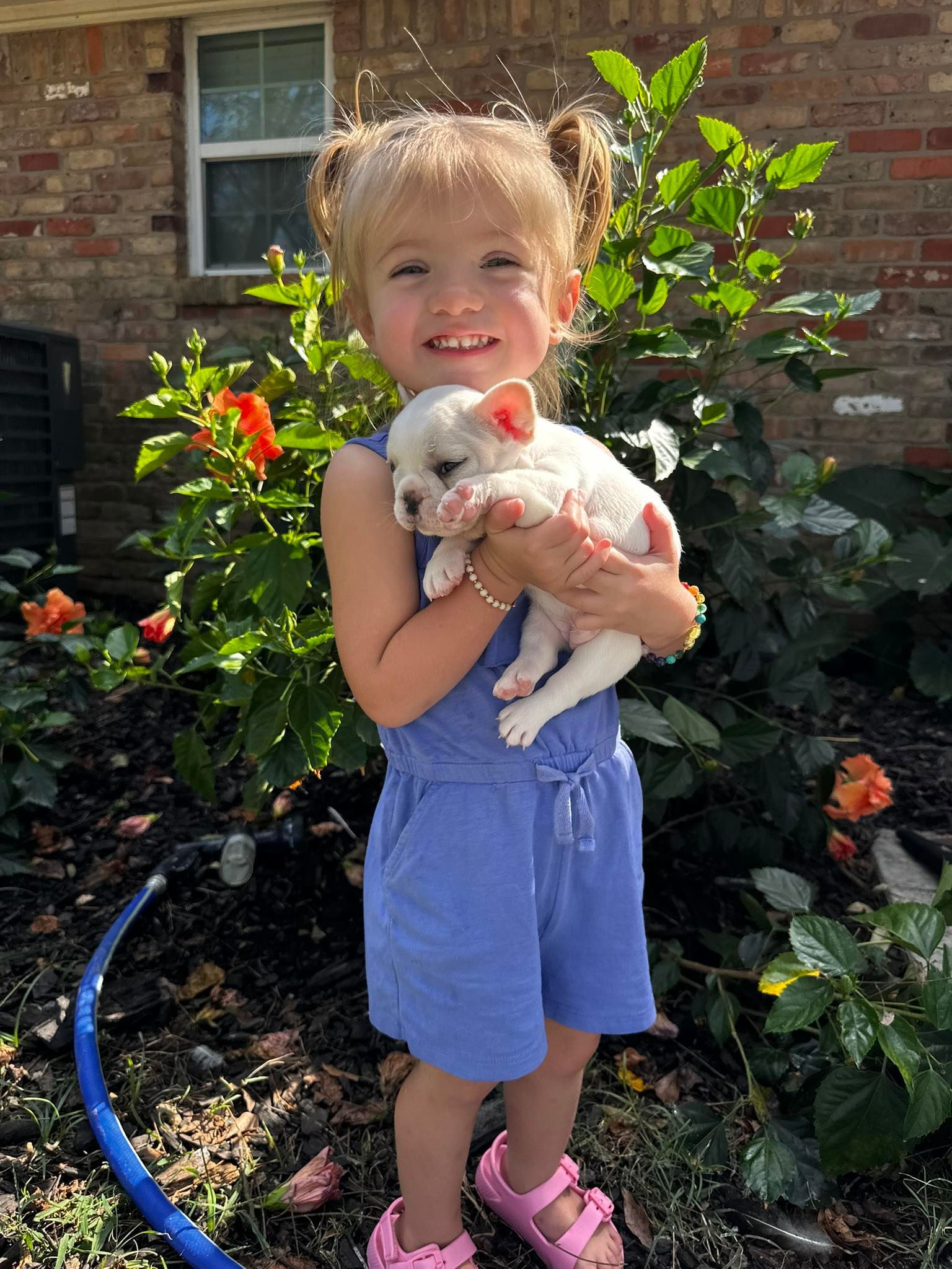 Young child in blue romper smiles, holding a white puppy in a garden with flowers.