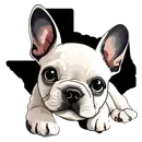 White French bulldog puppy in front of a Texas outline; big eyes, cute expression.