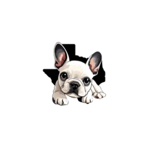 French bulldog peeking out from behind a black outline of Texas.