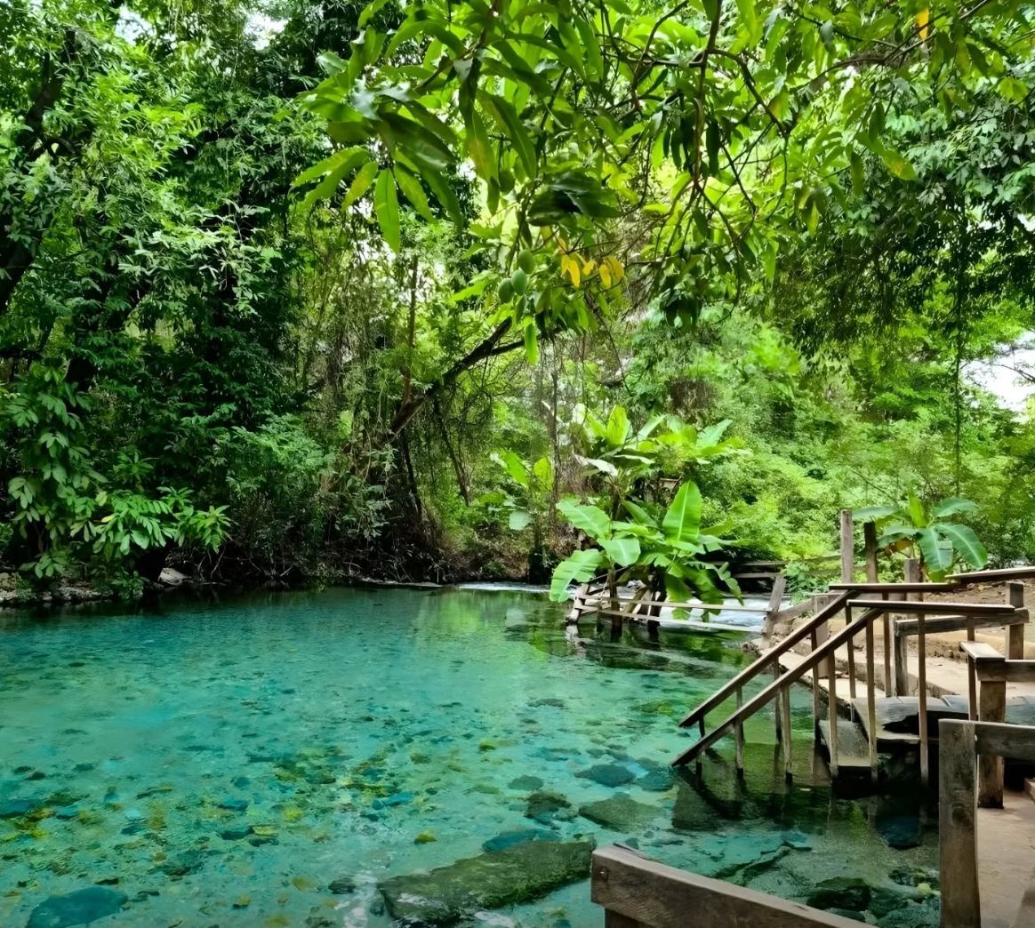 Uma nascente de água cristalina turquesa rodeada por uma exuberante selva verde, com escadas 