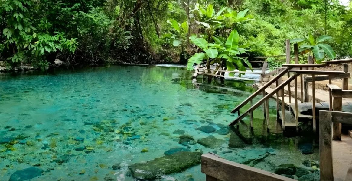 Uma piscina natural de água cristalina e turquesa, rodeada por uma exuberante floresta tropical verde,