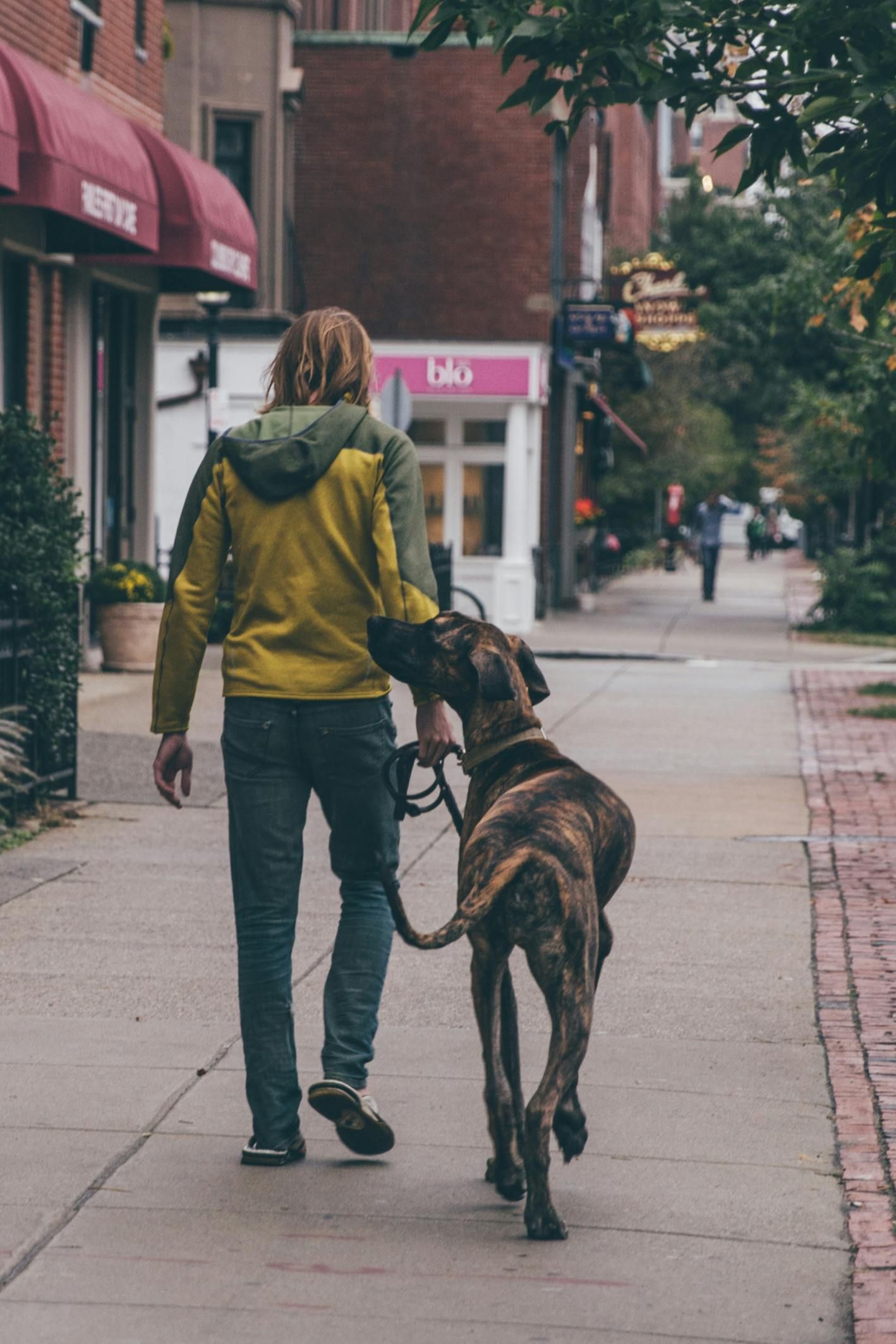 Man walking his dog near the Keystone Apartment in Philadelphia