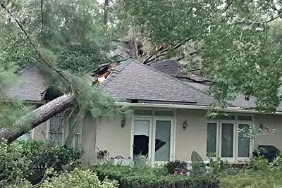Tree Removal — Tree Falls in the Roof of a House in Savannah, GA