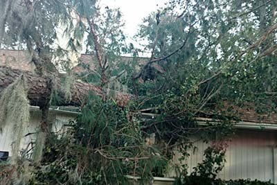 Fallen Trees — Trees on Top of a House in Savannah, GA