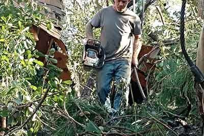 Damaged Trees — Man Cutting Damaged Trees in Savannah, GA