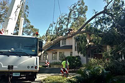 Disaster Clean-Up — A White Truck and a Crew Removing Tress in Savannah, GA