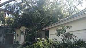 Tree fallen on a house, damaging the roof and blocking entrance.