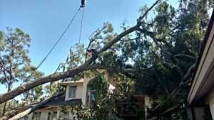 A crane removing a large tree branch from a house roof on a sunny day.