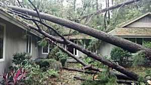 Fallen tree on a house roof after a storm. Damage to shingles and siding is visible.