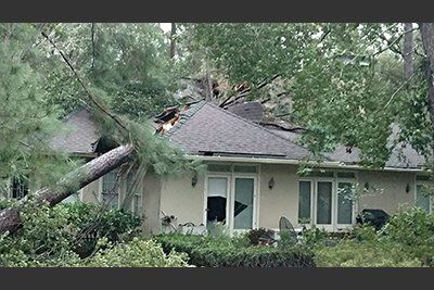 Trees Remove — Fallen Tree on Top of a House in Savannah, GA