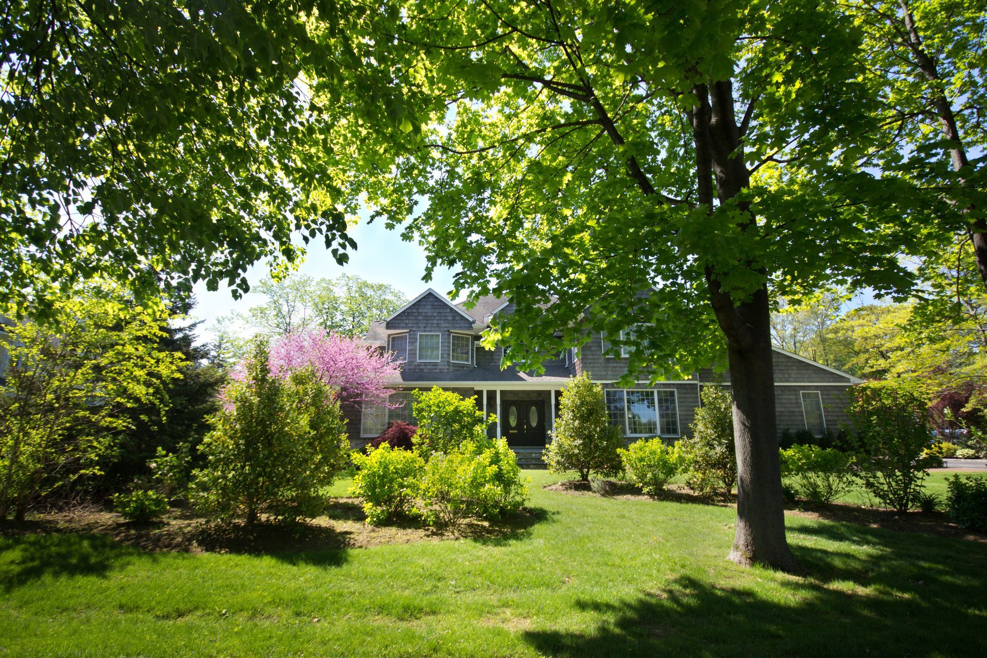 House with gray siding and green lawn, framed by trees with spring foliage. - Savanna Southbridge