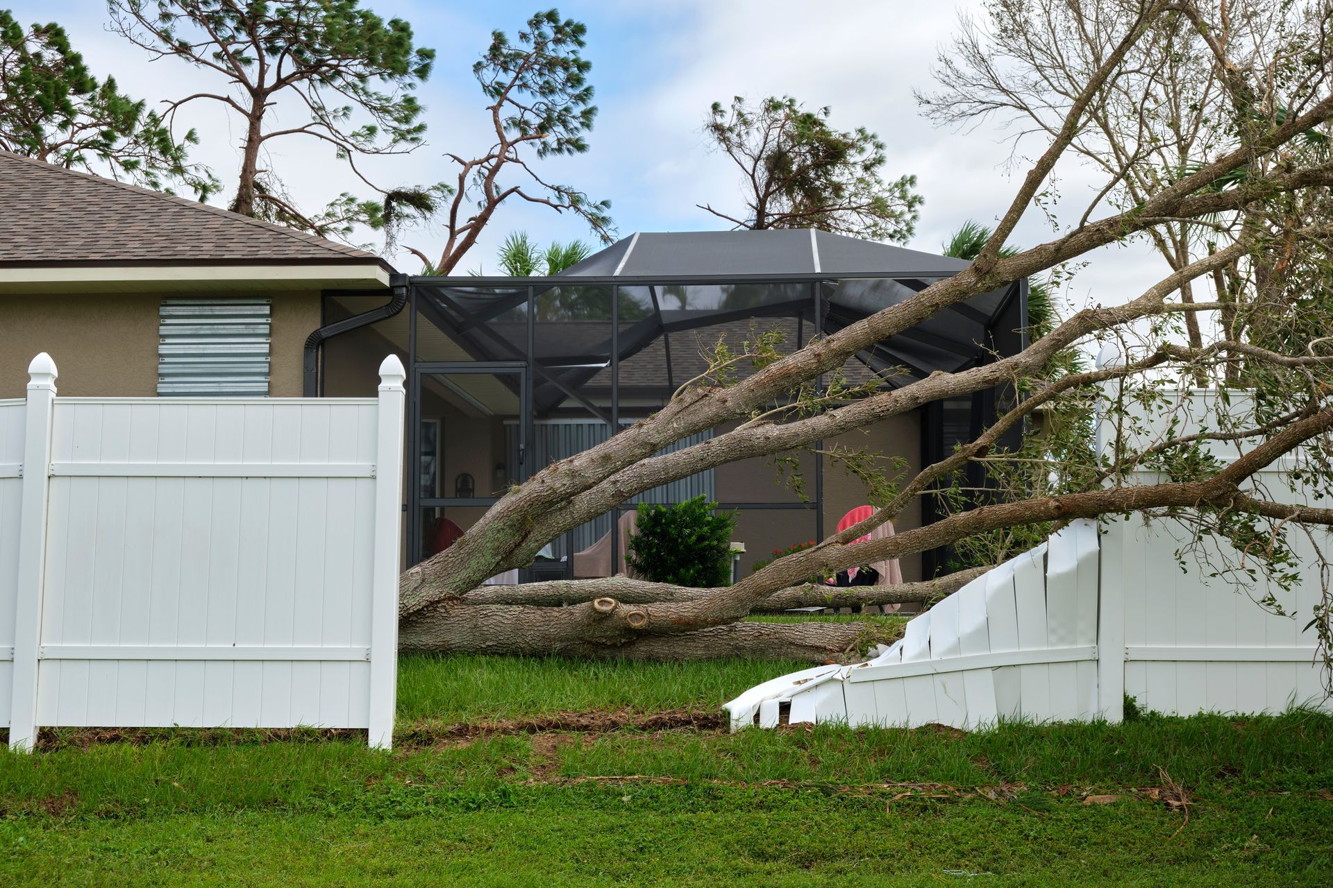 Storm-damaged backyard with a fallen tree leaning over a white fence and house. Storm-damaged backyard with a fallen tree leaning over a white fence and house.