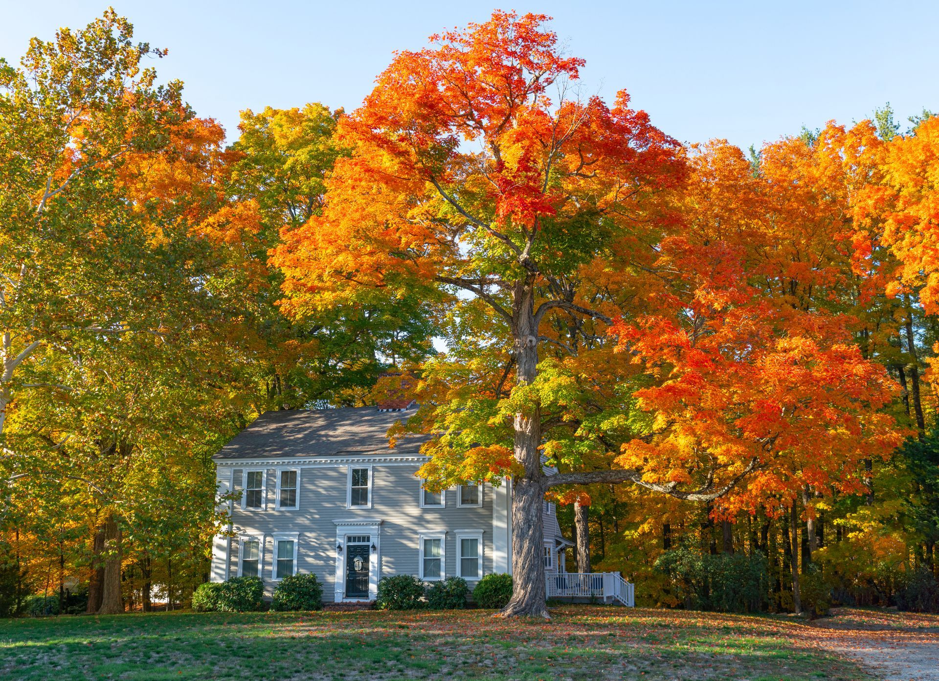 House nestled in vibrant autumn trees with orange and yellow leaves - Wilmington Island