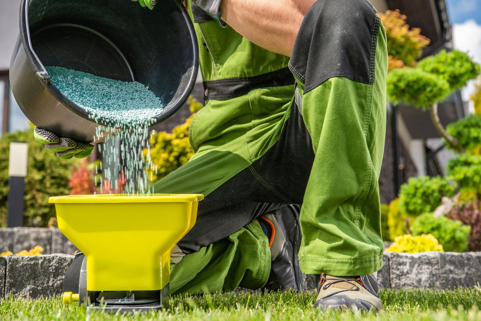 Person in green overalls pours blue fertilizer into a yellow spreader on a lawn.