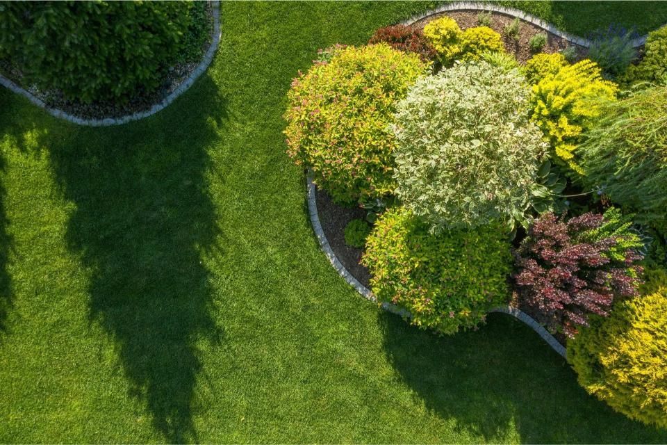 Overhead view of a manicured lawn with colorful shrubs and dark shadows.