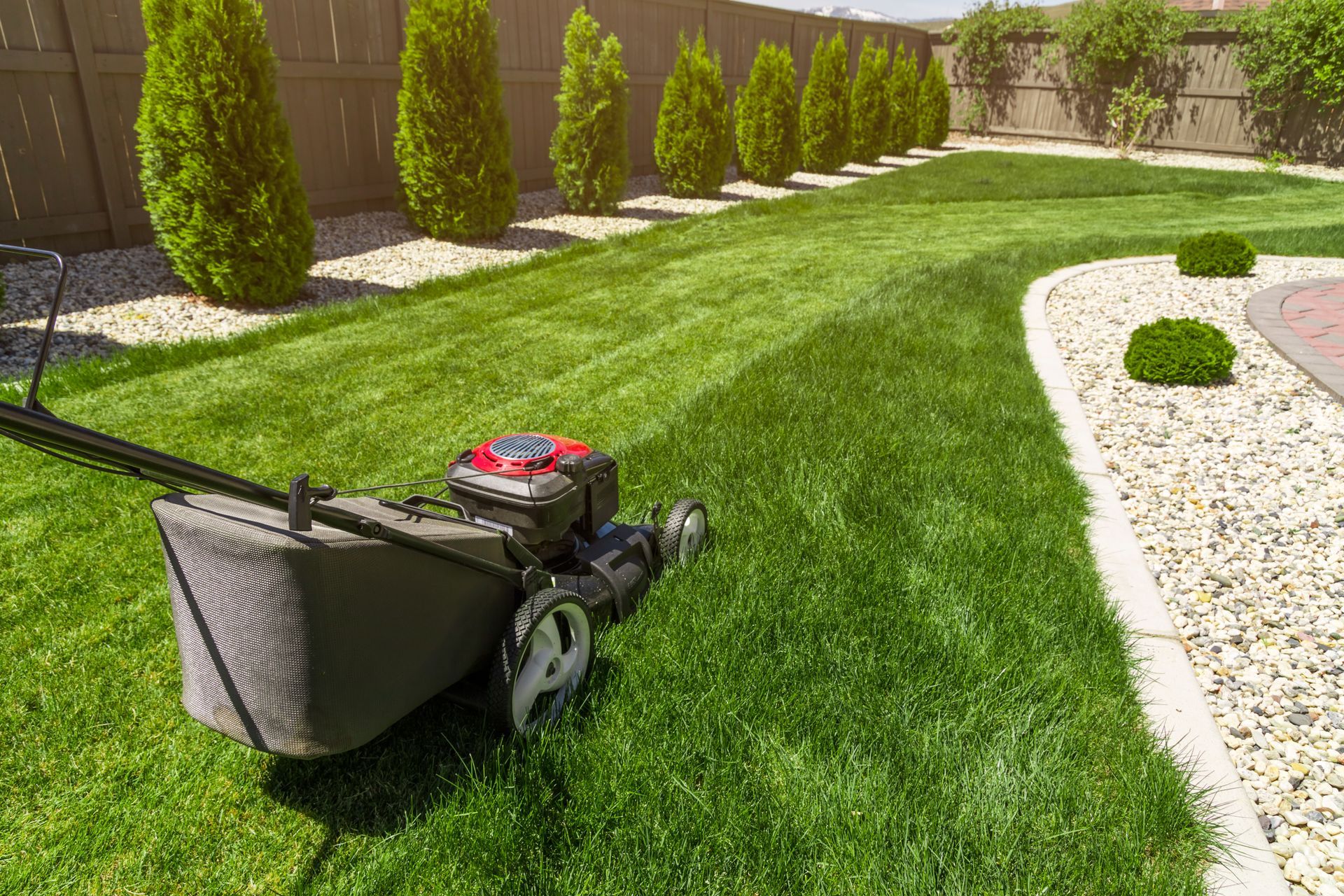 Lawn mower with grass catcher mowing a green lawn beside a landscaped rock border and hedge rows