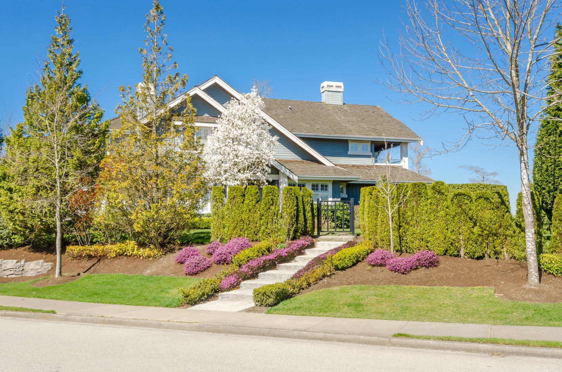 Suburban house with manicured lawn, flowering shrubs, and a bright blue sky