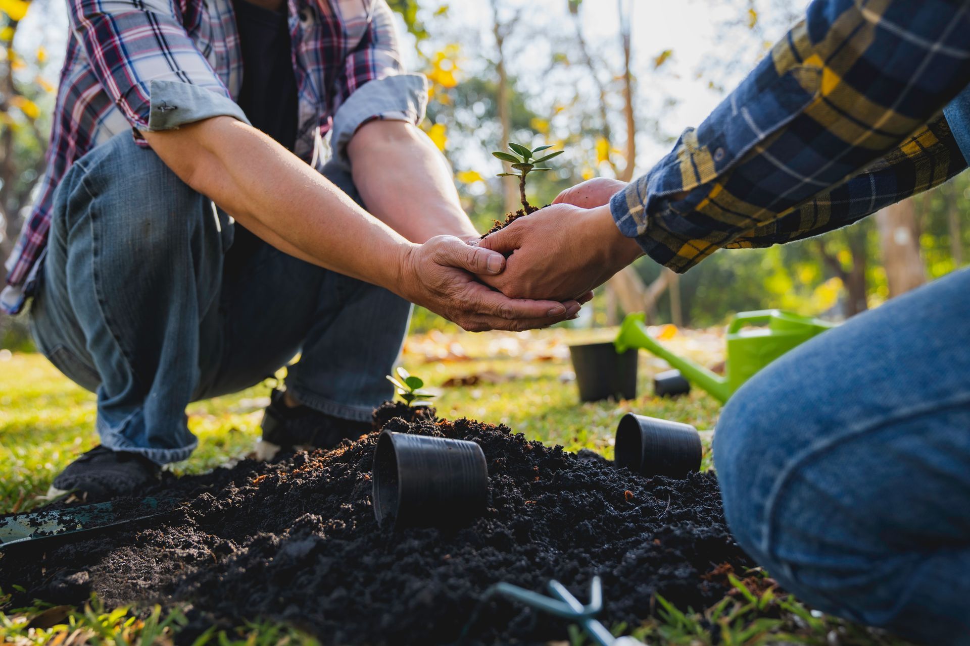 Two people planting a seedling together in a garden, surrounded by soil and pots.