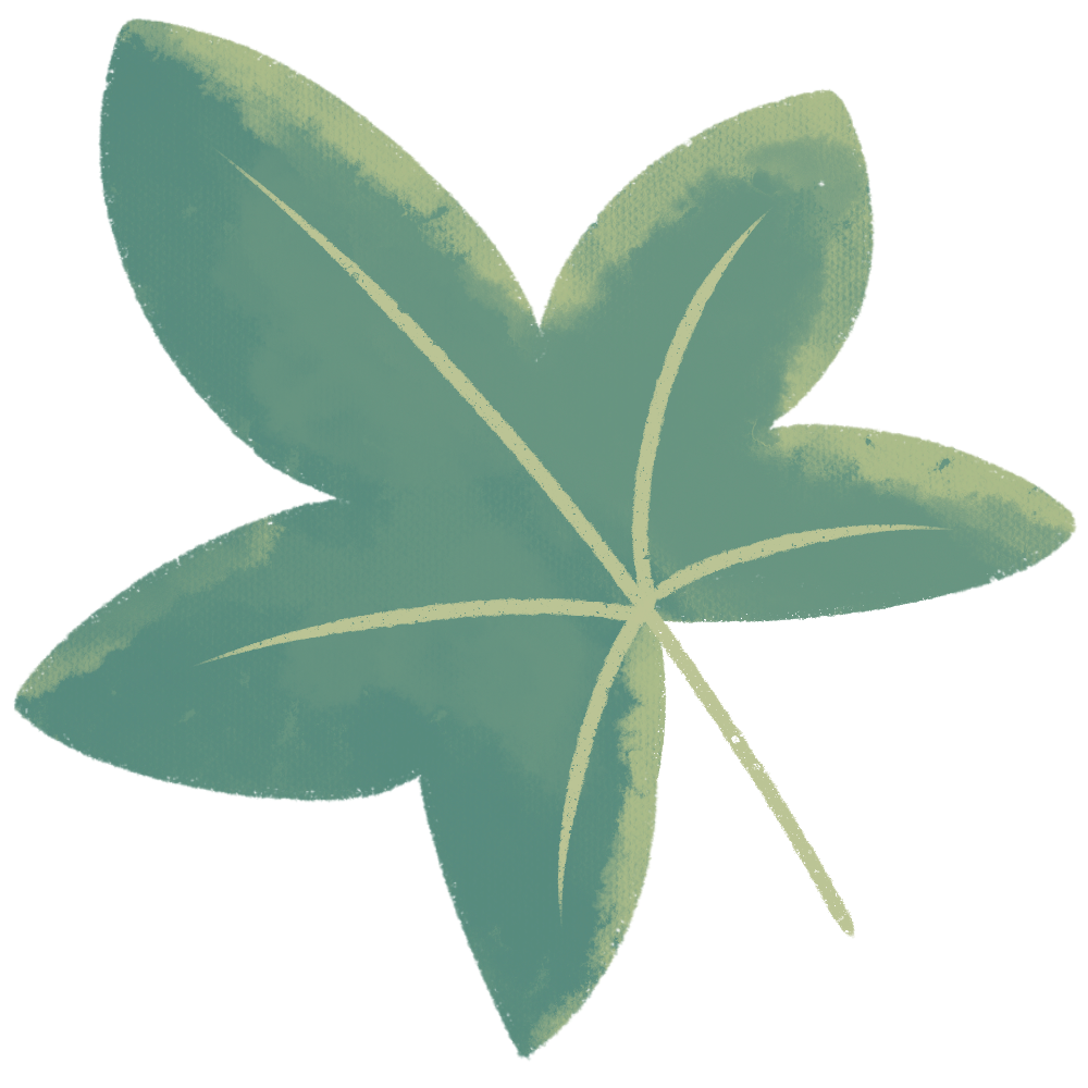 Green leaf with five lobes and a central stem.