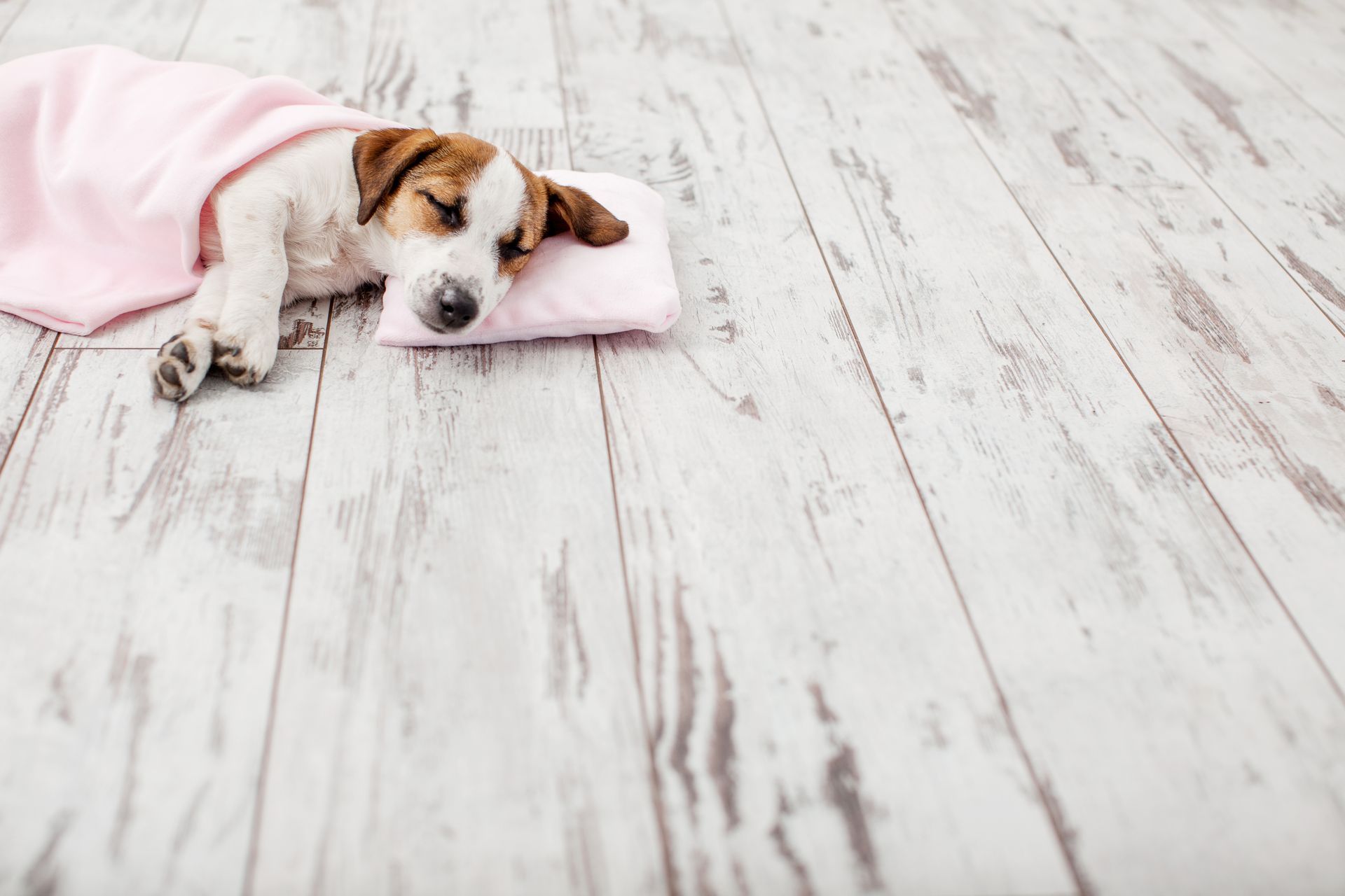 parquet bianco stile nordico