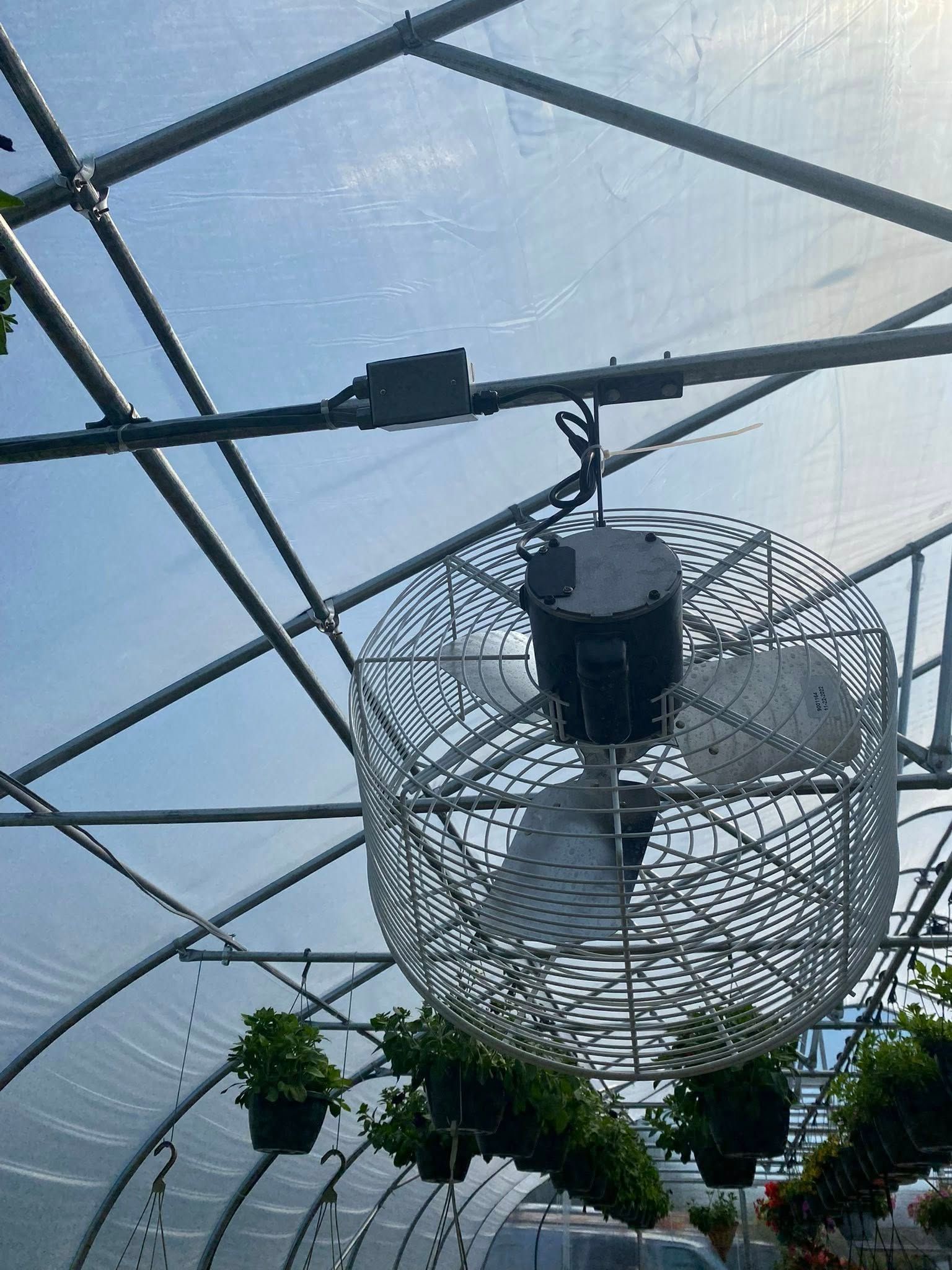 A large fan hanging in a greenhouse with plants and support structures.
