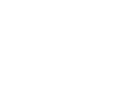LB Defense logo