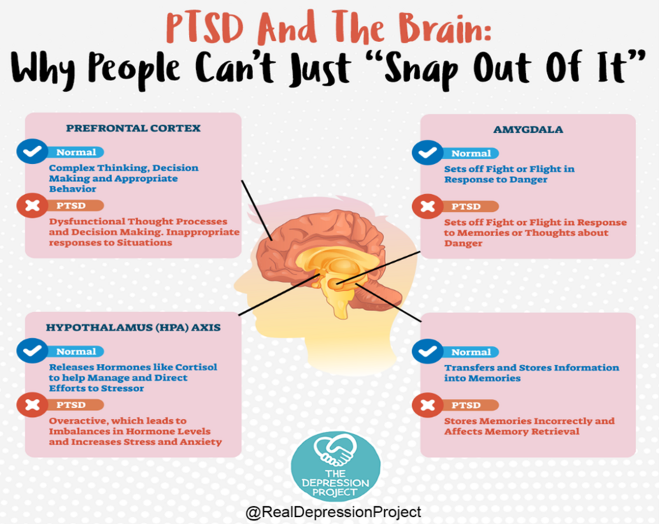 PTSD & the Brain: Why People Can't Just 