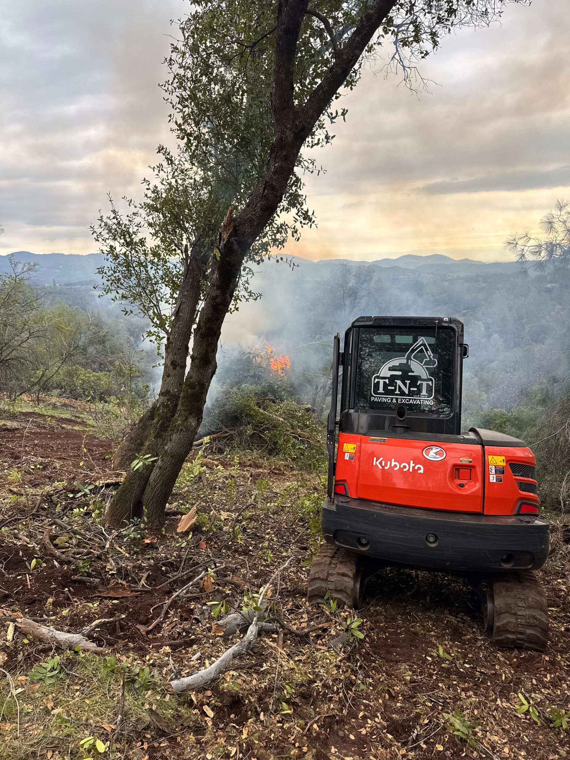 A red excavator is sitting in a field next to a tree.