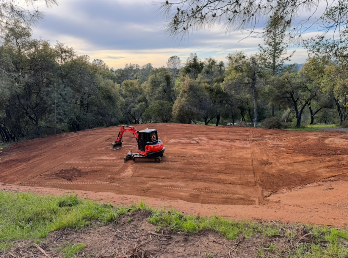 A red excavator is working on a dirt field surrounded by trees.