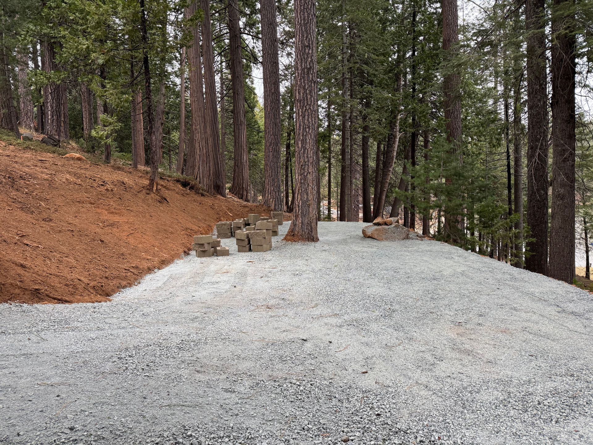 A red excavator is sitting in a field next to a tree.