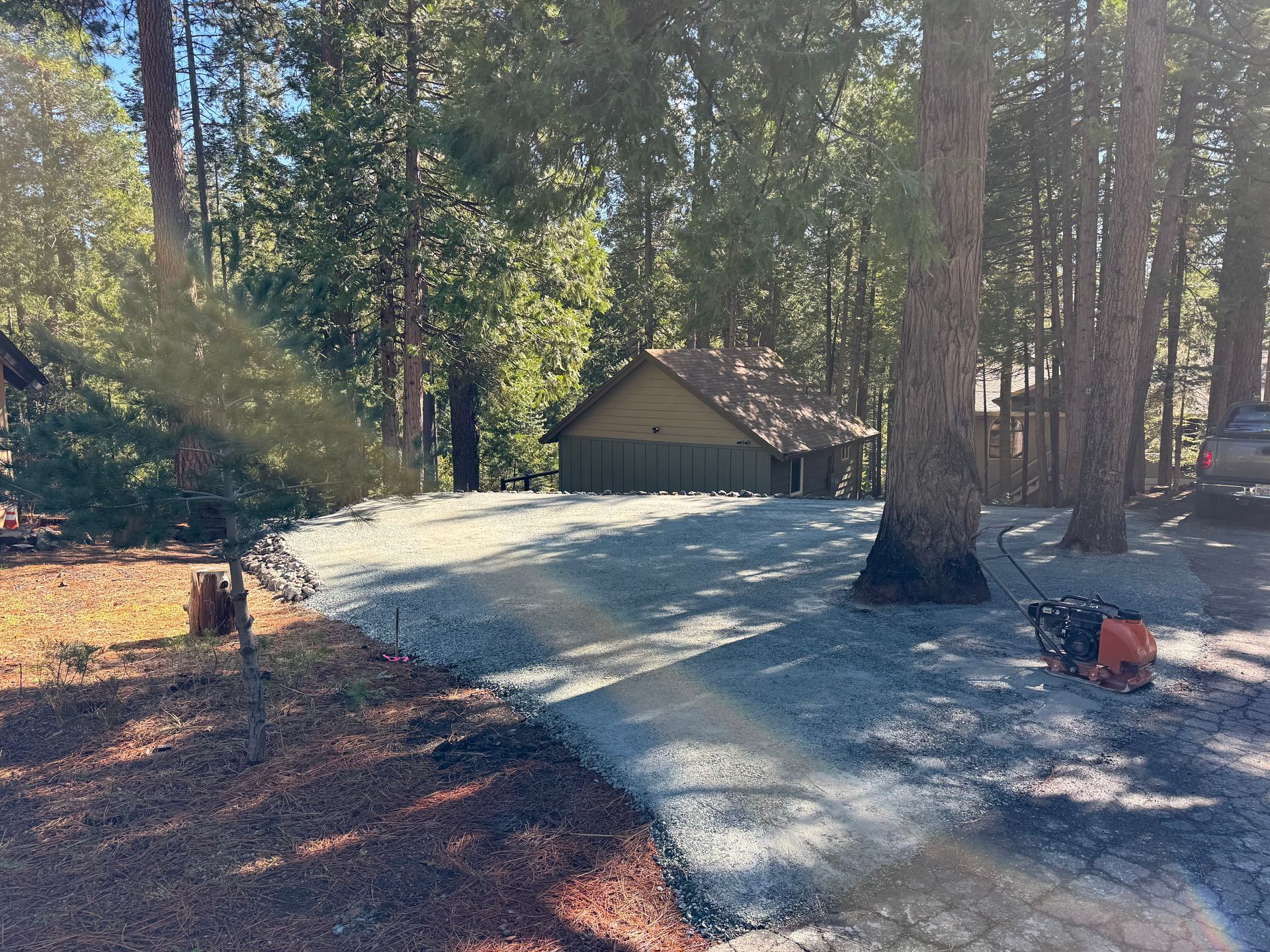 A gravel driveway leads through a wooded area toward a cabin nestled among tall pine trees.