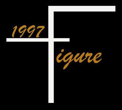 FIGURE BOUTIQUE-LOGO