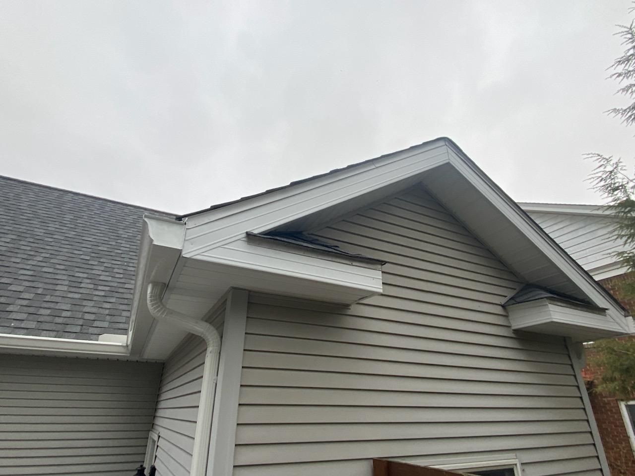 Gutter cleaning 2