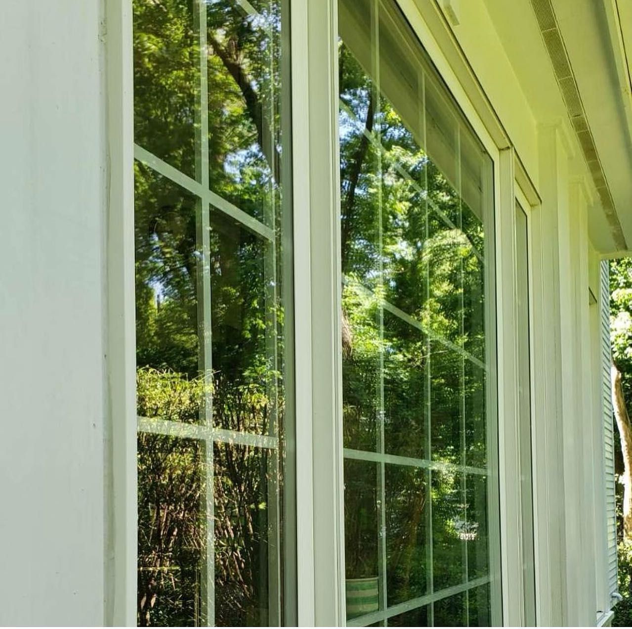 A window with a reflection of trees in it