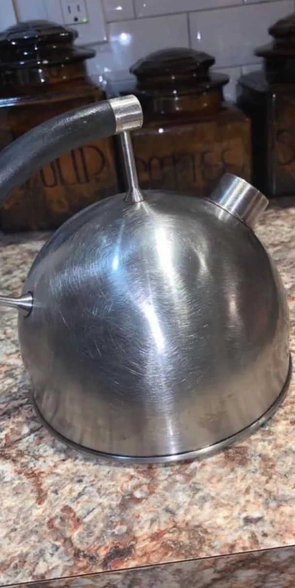 A stainless steel tea kettle is sitting on a counter.