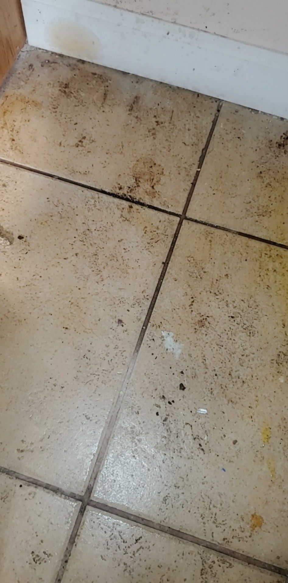 A close up of a dirty tile floor in a kitchen.