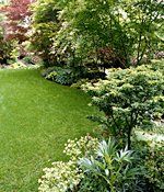 maintained lawn care