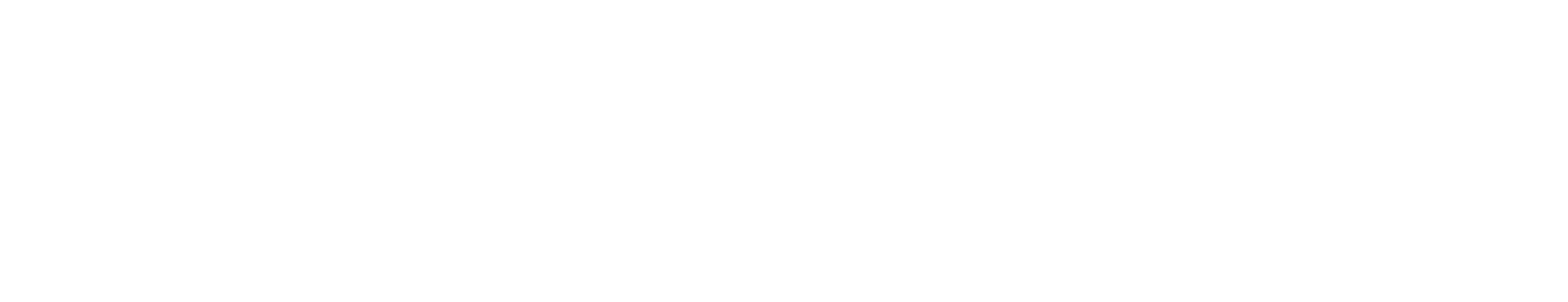 Clean Finish Car Wash checkered flag Louisiana Logo