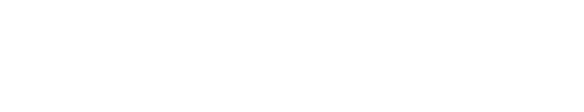 Clean Finish Car Wash checkered flag Louisiana Logo