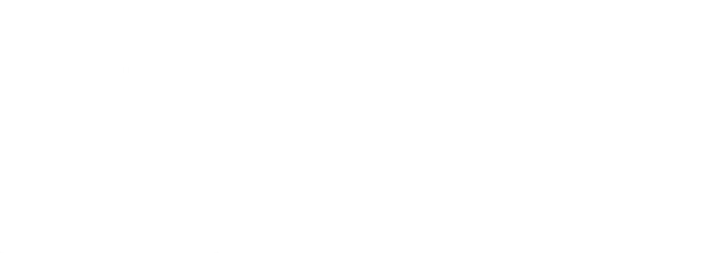 Bear logo graphic in white and KareBear Photography text in white
