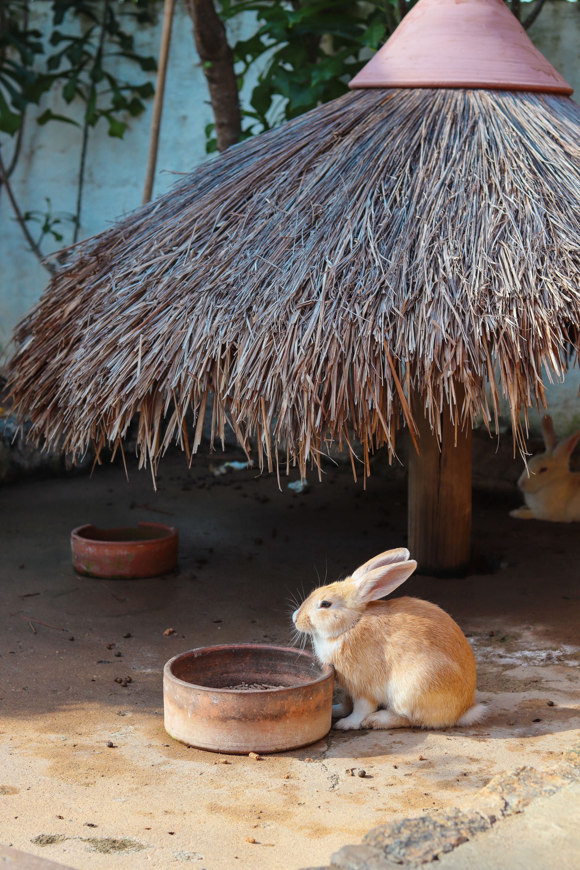 Area externa pousada vivenda oriente