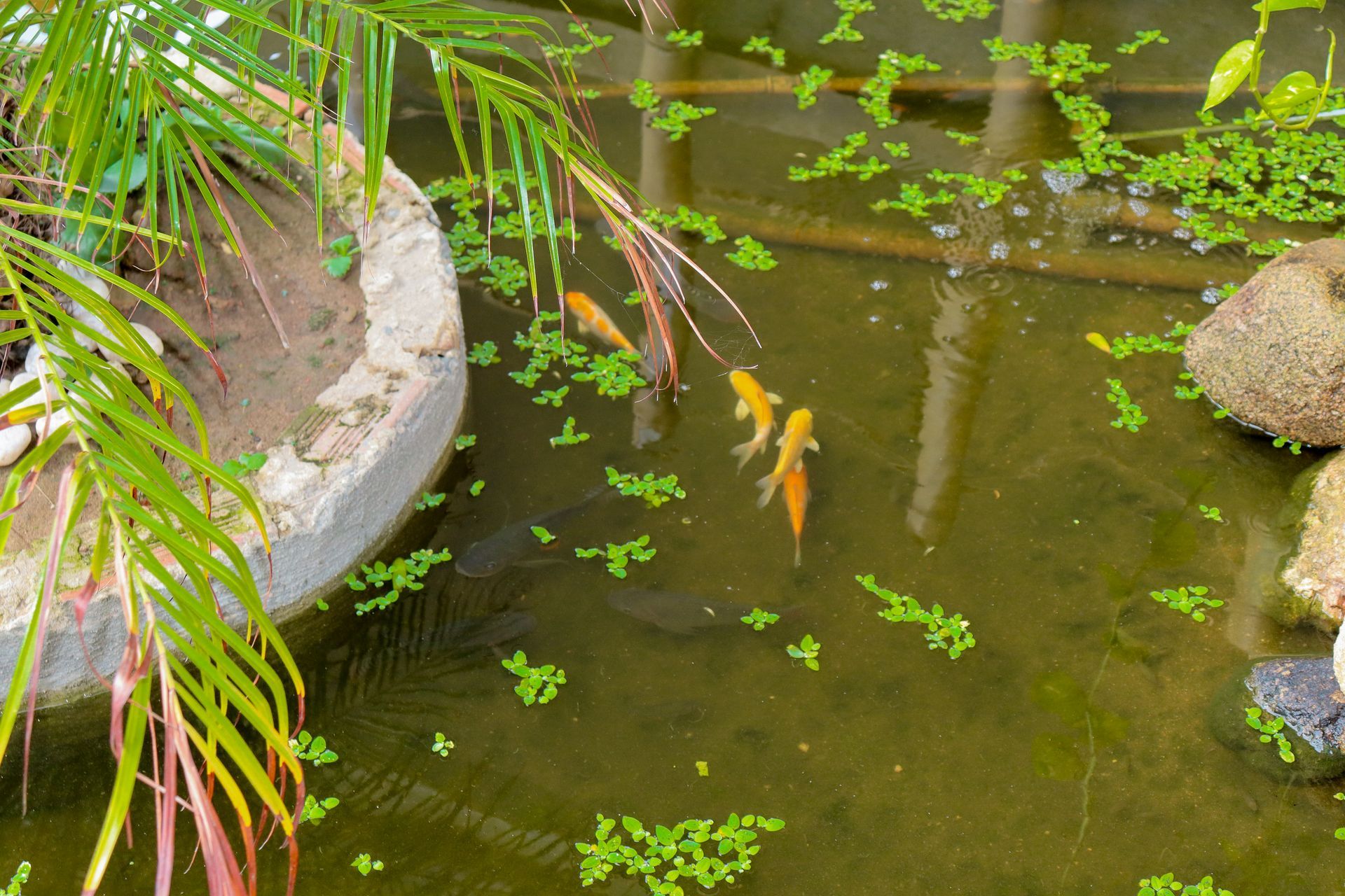 Quarto Pousada Vivenda Oriente