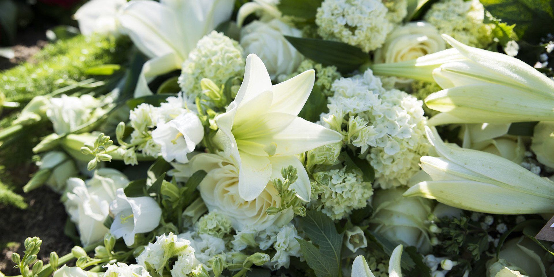 white flowers in bloom, aj lock funeral director weston