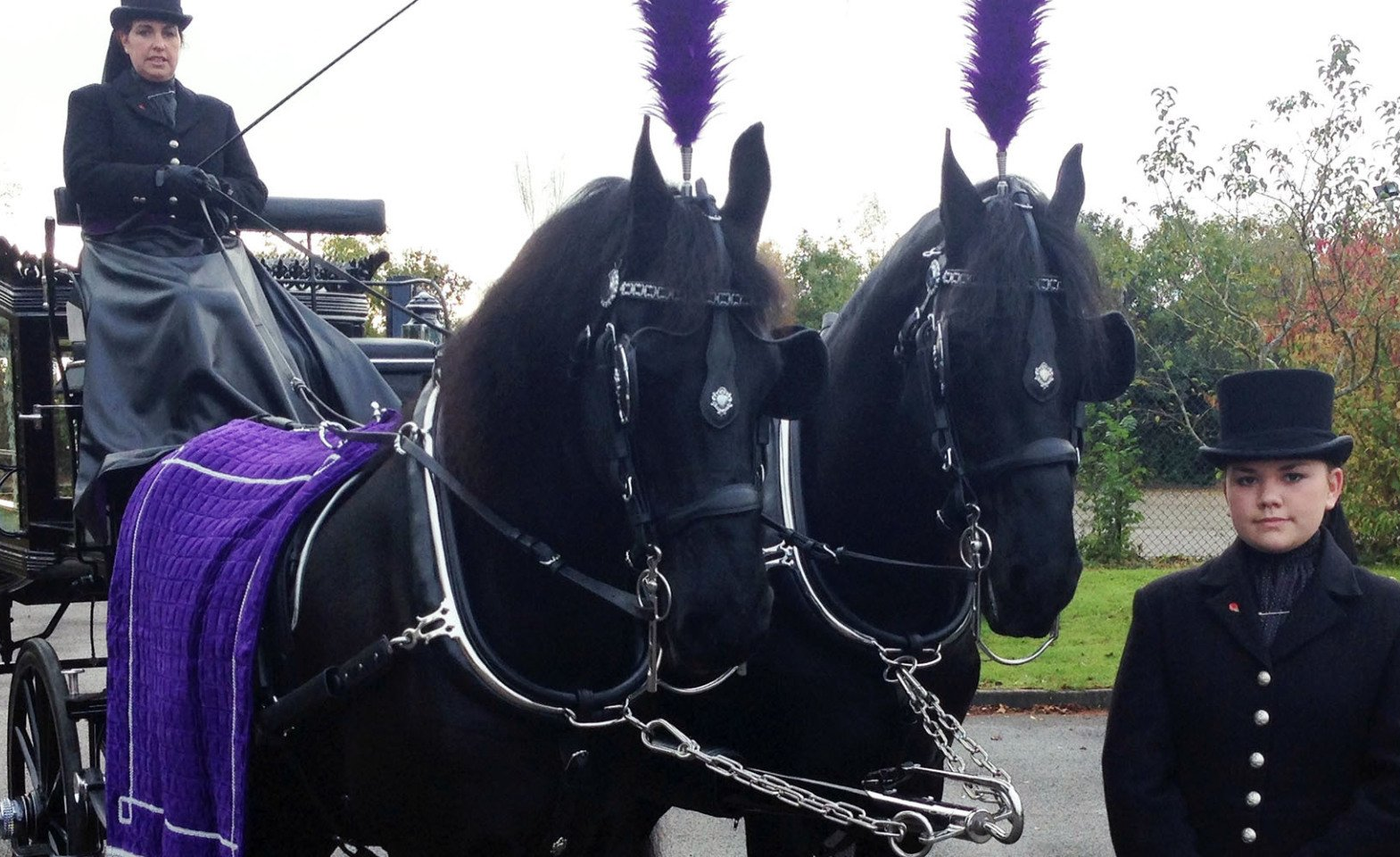 Horse drawn traditional herse, funeral director weston and burnham
