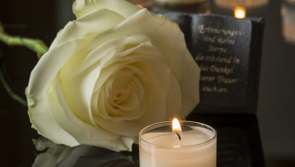 White orchid flowers in the background of the review