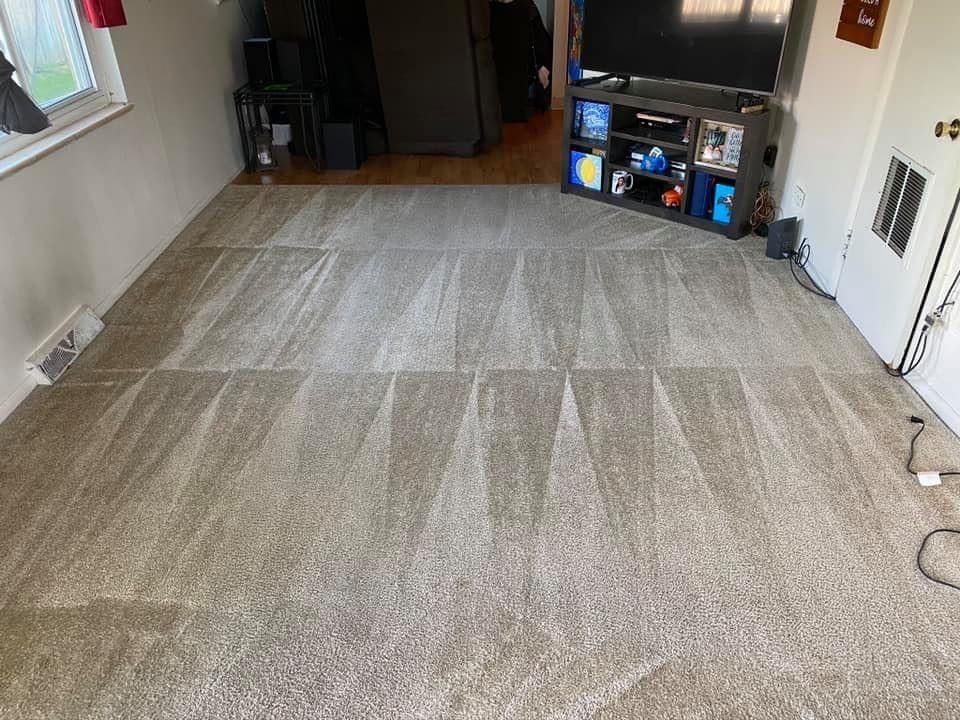 After steam carpet cleaning service.