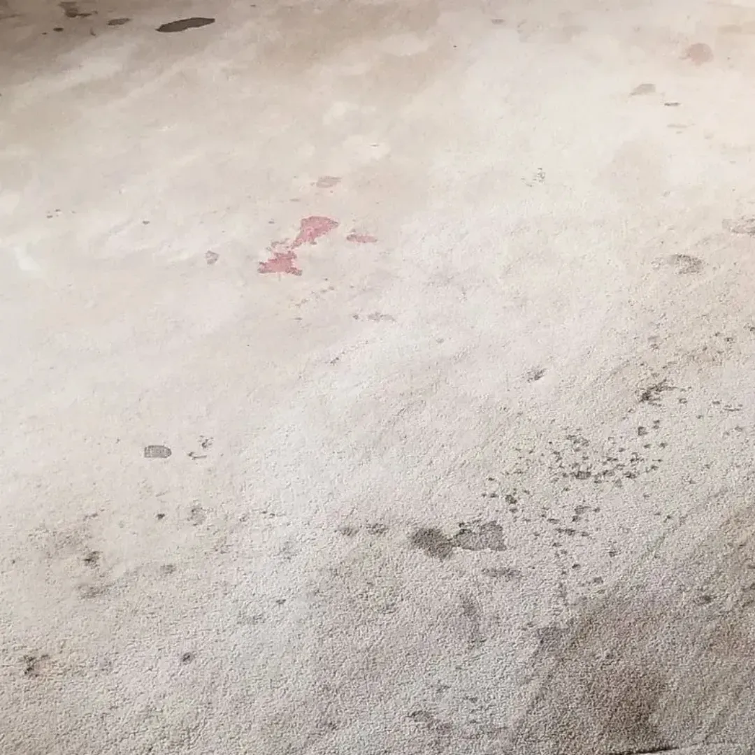 Dirt and traffic stain on bedroom entrance carpet getting cleaned.