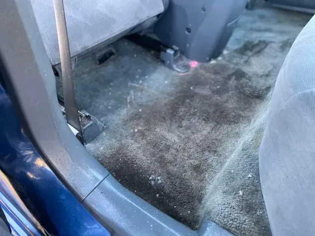 Car interior paint stain removal and cleaning service.