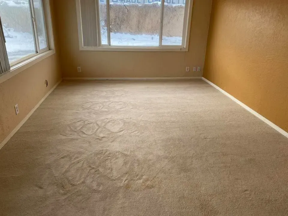 Before carpet steam cleaning service in Denver, Colorado.